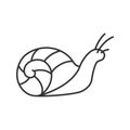 Snail linear icon