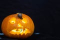 Snail on the ominous glow from inside an orange pumpkin
