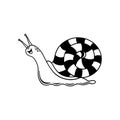 Snail outline illustration on white background. Slow pace concept Royalty Free Stock Photo