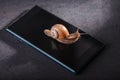 Snail on the phone on a dark background. Slow phone. Old smartphone