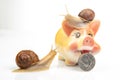 Snail and piggy bank for coins on a white background. The concept of slow accumulation of money deposit. Financial literacy and