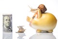 Snail and piggy bank for coins on a white background. The concept of slow accumulation of money deposit. Financial literacy and