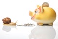 Snail and piggy bank for coins on a white background. The concept of slow accumulation of money deposit. Financial literacy and