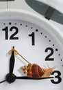 Snail pulling clock hand , slow time concept Royalty Free Stock Photo