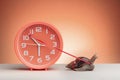 Snail pulling a minute hand on a clock as a concept of slow time Royalty Free Stock Photo