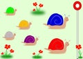 Snail Race General Election Colours