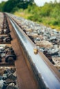 Snail on a railway track