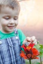 SNAIL ON RED FLOWER. Happy little boy playing in the park with snail at the day time. Selective focus. Royalty Free Stock Photo