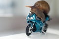 A snail rides a racing motorcycle, concept of speed and success, selective focus Royalty Free Stock Photo