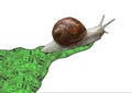 Snail's pace Royalty Free Stock Photo