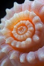 A snailÃ¢â¬â¢s tentacle adorned with dewdrops, creating a unique abstract effect