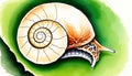 Snail shell macro nature, mollusk detail, close,up, spiral pattern, Stock Photo, Generative AI