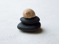 Snail shell on pebble stack.