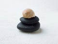 Snail shell on pebble stack.