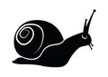 Snail Silhouette Vector Illustration Royalty Free Stock Photo