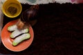 The snail is sitting in a container terrarium and eating cucumbers with eggshells. Coconut soil for keeping an animal at home. Big Royalty Free Stock Photo