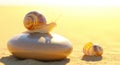 Snail on a Smooth Stone with Empty Snail Shell on Sand Background at Sunset Royalty Free Stock Photo