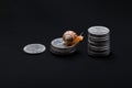 Snail on stack of coins on black background. Slow economic growth, business concept. Purposefulness, movement towards