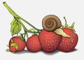 Snail on strawberries, cartoon pictures, hand-drawing. Can be used as a card, cover, print, design shirts, fabric