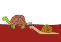 Snail and tortoise - race Royalty Free Stock Photo
