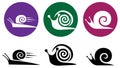 Snail. Vector icon set.