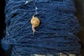 A snail walking on a thread of indigo-dyed cloth. Indigo cotton. Cotton Organic in Thailand