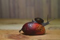 Snail in wooden table background