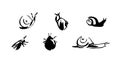 Snails and beetles set. Vector brush ink painting animal illustration. Black isolated vector on white background Royalty Free Stock Photo