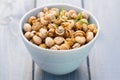 Snails in blue bowl Royalty Free Stock Photo