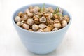 Snails in blue dish Royalty Free Stock Photo
