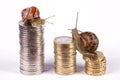 The snails climb the pile of money. Royalty Free Stock Photo