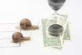 The snails compete first to reach the finish line with money. metaphor for business. time for success. persistence and speed of