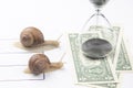 The snails compete first to reach the finish line with money. metaphor for business. time for success. persistence and speed of de Royalty Free Stock Photo