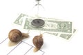 The snails compete first to reach the finish line with money. metaphor for business. time for success. persistence and speed of Royalty Free Stock Photo