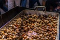 Snails cooked in tomato sauce