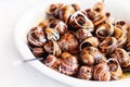 Snails cooked in white wine, traditional Cretan recipe