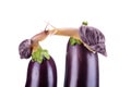 Snails are kissing.Snails and eggplant on a white background Royalty Free Stock Photo