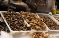 Snails and shell seafood on ice at la Boqueria market in Barcelona
