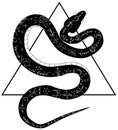 Black snake design