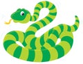 Snake Royalty Free Stock Photo