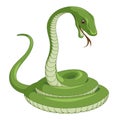 Snake Royalty Free Stock Photo