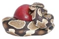 Snake and Apple