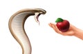 Snake And Apple Composition Royalty Free Stock Photo