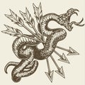 Snake and arrow Vintage vector logo design illustration