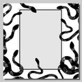 Snake. The background is white with black snakes. Frame. Exotic reptiles. Vector illustration Royalty Free Stock Photo