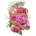 Snake with beautiful garden roses. Compositions of red and pink roses, watercolor illustration. Printing use t-shirt.