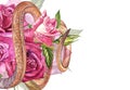 Snake with beautiful garden roses. Compositions of red and pink roses, watercolor illustration. Printing use t-shirt.