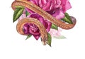 Snake with beautiful garden roses. Compositions of red and pink roses, watercolor illustration. Printing use t-shirt.