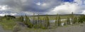 Snake Bend river in Grand Tetons National Park