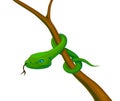 Snake on a branch, stock vector Royalty Free Stock Photo